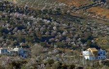 Spain-Southern Spain-Las Alpujarras Walking Tours